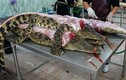 Vì sao thịt cá sấu “cháy hàng” ở Thái Lan?