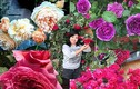 Vườn hoa hồng quý hiếm, đẹp như thiên đường của mẹ Việt xa xứ