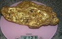 Thợ máy xúc múc được cục vàng 10kg nguyên khối