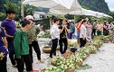 Lạng Sơn: Nhộn nhịp chợ na lớn nhất nước vào mùa