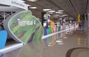 Ngắm nhà ga hiện đại nhất Singapore khách Vietnam Airlines được “hưởng“