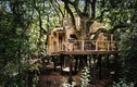 Mê mẩn ngắm ngôi nhà gỗ trên cây sang trọng ở Anh 