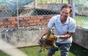 Những trang trại rùa "đẻ" ra tiền của nông dân Việt