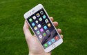 Apple bắt đầu cho đổi iPhone 6 Plus hỏng lấy iPhone 6s Plus mới