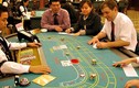 “Soi” casino nghìn tỷ vừa báo lỗ nặng ở Hạ Long