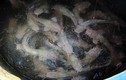 Những đàn cá trê hồng "hốt" bạc triệu của nông dân Việt