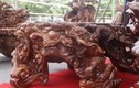 “Mê mẩn” bộ bàn ghế gù hương ngũ long ngàn tuổi của đại gia Tuyên Quang 