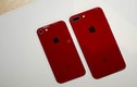 iPhone 8 và 8 Plus đỏ chính hãng lên kệ tại Việt Nam