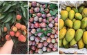 4 loại quả Việt vào vụ giá “mềm” hút khách 