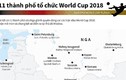 Infographic: 11 thành phố tổ chức World Cup 2018