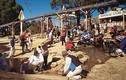 Khám phá thị trấn đào vàng ở Úc từng khiến vạn người phát cuồng