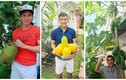 Ngắm vườn cây trĩu quả trong nhà phố của sao Việt