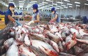 Nghịch lý tiêu chuẩn hải sản vào siêu thị Việt khó hơn xuất châu Âu?