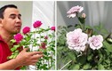 3 vườn hồng đẹp mê mẩn trong nhà sao Việt