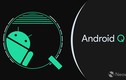 Android Q beta chính thức được phát hành: Quá nhiều thú vị!