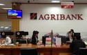 Agribank cảnh báo chiêu lừa đảo chiếm tài khoản ngân hàng của khách