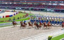 Đại gia đồ chơi Trung Quốc rót 200 triệu đô xây trường đua ngựa ở Đà Nẵng là ai? 