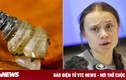 Ốc sên siêu nhỏ mới phát hiện được đặt tên theo Greta Thunberg