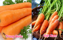 Cách phân biệt 9 loại rau củ hay ăn nhất, tránh mua phải hàng Trung Quốc