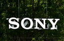 Sony cho ra mắt cảm biến hình ảnh thông minh hơn nhờ tích hợp 