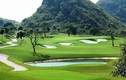 Biết gì về ông chủ sân golf Việt Yên vừa được phê duyệt? 