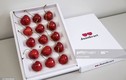 Cherry Nhật đắt kỷ lục, hơn 4 triệu đồng/quả có gì đặc biệt?