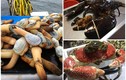 Đại gia Việt "vung tiền" thưởng thức hải sản nhập ngoại khổng lồ 