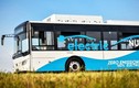 Sở GTVT TP Hồ Chí Minh: Không có chuyện ưu ái thí điểm 5 tuyến xe buýt điện