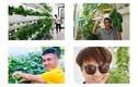 Ngắm vườn rau xanh tốt trong nhà sao Việt