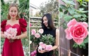 Mãn nhãn vườn hồng đắt giá trong nhà mỹ nhân Việt