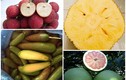 Những loại trái cây không hạt “giá chát” vẫn hút khách