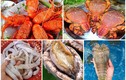 5 loại hải sản “nhà giàu” ở các vùng biển đảo Việt Nam 