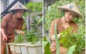 Mỏi mắt ngắm vườn rau xanh mướt giữa đại dịch của Nhật Kim Anh