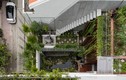 Báo Mỹ ngỡ ngàng nhà Việt sở hữu khu vườn từ tầng trệt lên mái