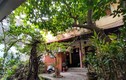 Khám phá nhà vườn phố cổ Hà Nội đại gia trả 180 tỷ không bán