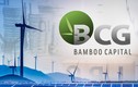 Bamboo Capital muốn thâu tóm Bảo hiểm AAA