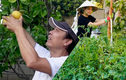 Mãn nhãn khu vườn hoa trái xum xuê của sao Việt ở Mỹ
