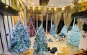 Giữa tin đồn ly hôn, Đàm Vĩnh Hưng trang trí biệt thự 60 tỷ đón Noel