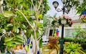Mãn nhãn khu vườn đầy hoa trái trong biệt thự của Vy Oanh