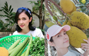 Khám phá biệt thự vườn vô số cây ăn trái của Việt Trinh