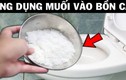 Đổ muối vào bồn cầu: 30 phút sau điều kỳ diệu xảy ra khiến mọi nười sẽ muốn thử