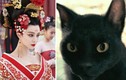 Võ Tắc Thiên rất sợ mèo: Lý do đằng sau là gì? 