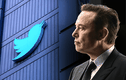 Tỷ phú Elon Musk giàu cỡ nào mà chơi lớn muốn “mua đứt” Twitter?