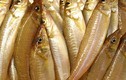 Loài cá ở Việt Nam có tên nghe dị, trước rẻ bèo, nay là “mỏ vàng”