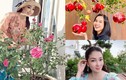 Choáng ngợp vườn rau xanh, cây ăn trái trĩu quả của Hoa hậu Việt 