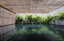 Biệt thự Sài Gòn phủ kín cây xanh giành giải kiến trúc quốc tế