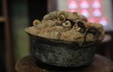  Bộ sưu tập tiền cổ “độc nhất vô nhị” của đại gia Sài Gòn