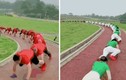 Đoàn người bò như cá sấu để chữa đau lưng ở Trung Quốc