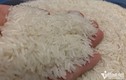 Xuất khẩu gạo giá bán cao nhất, thu về gần 3 tỷ USD
