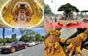 Giật mình thú chơi “vàng” khác người của đại gia Việt